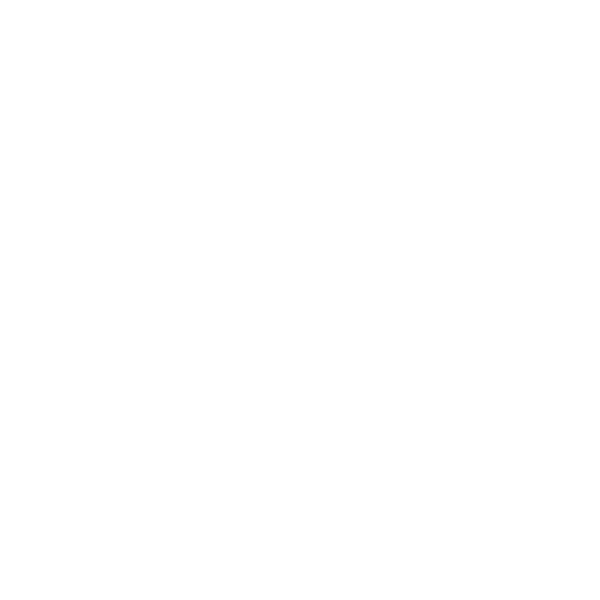 Clear Coat Sealant