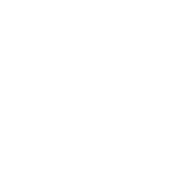 Orca Lava Foam Protection