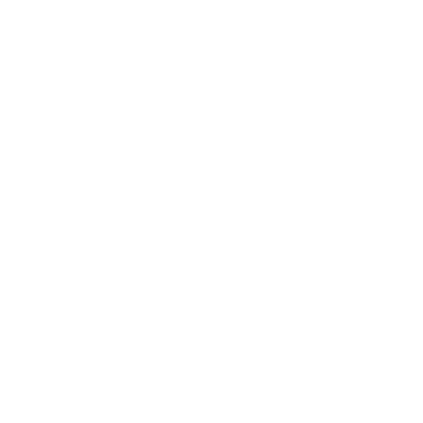 Orca Tire Shine