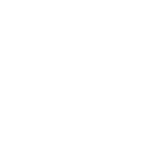 Wheel Cleaner